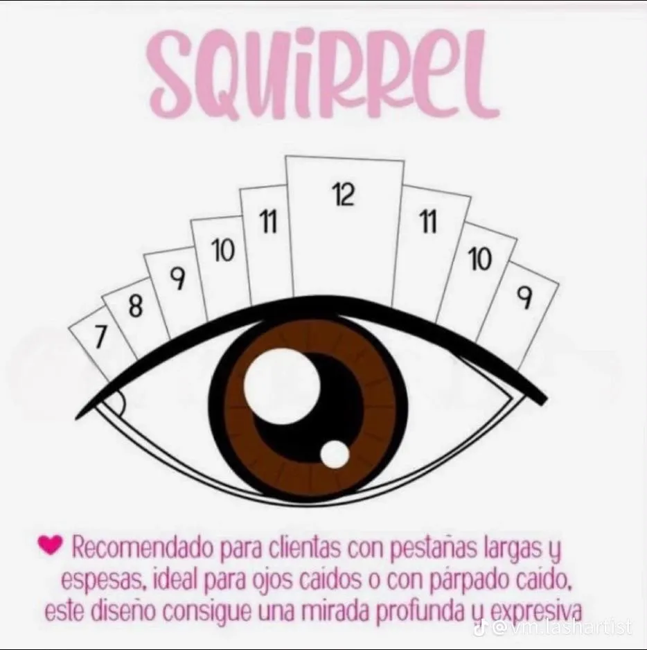 Infografía del diseño de pestañas Ardilla (Squirrel) con esquema de longitudes para ojos caídos o con párpados caídos.